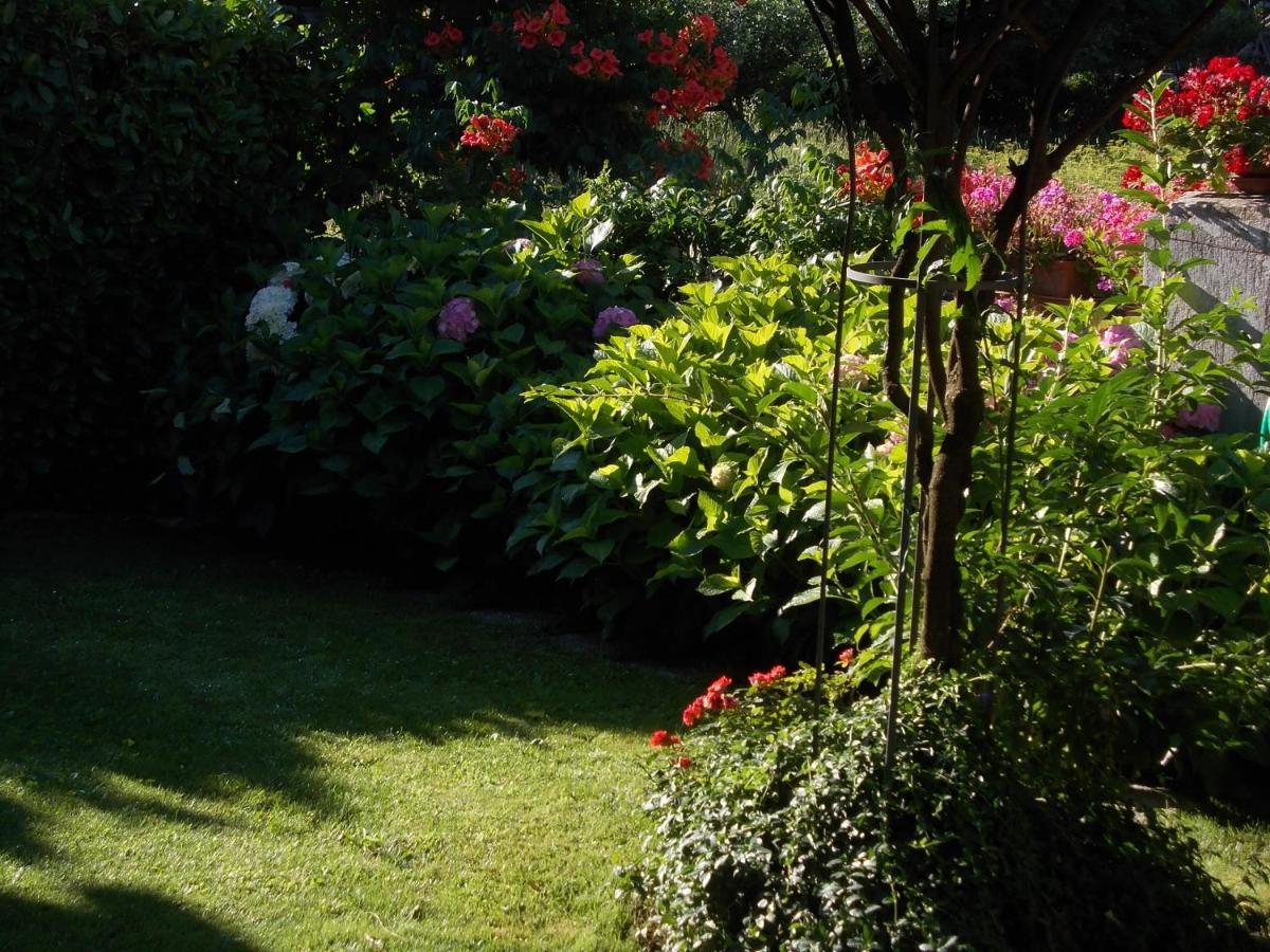 Bed and Breakfast Les Hirondelles Fenis Exterior foto